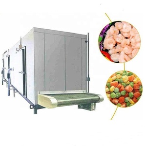 Equipo Comercial de Congelación Rápida Continua, Equipo de Congelación en Túnel para el Procesamiento de Aves, Pescado y Mariscos - Product Image 1