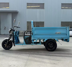 Triciclo de Gran Capacidad de 1500w, Venta al por Mayor de Fábrica, Motocicleta de 3 Ruedas Ddmtc - Product Image 3