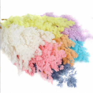 Bouquet de fleurs romantiques au toucher réel, Asparagus Myrioeladus Ming Fern préservé, éternel, DIY, Pampas, tiges en gros - Product Image 1