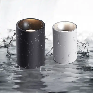 Anti-éblouissement <span class=keywords><strong>IP65</strong></span> étanche Downlight 30W 40W projecteur LED convient à la salle de <span class=keywords><strong>douche</strong></span>/salle de bain/cuisine/couloir éteint/balcon - Product Image 2