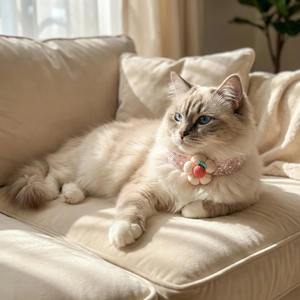 Lindo <span class=keywords><strong>Collar</strong></span> Ajustable para Mascotas con Diseño de Flores de Dibujos Animados, Estilo Princesa, <span class=keywords><strong>Collar</strong></span> para Perro, <span class=keywords><strong>Collar</strong></span> para Gato - Product Image 6