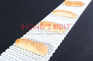 Hongsbet fırın sanayi ucuz fiyat gıda fabrikası plastik konveyör bant - Product Image 5