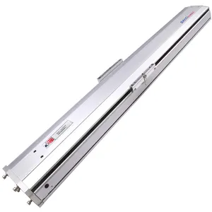 Módulo lineal SDM175 con carrera máxima 100 ~ 1250mm actuador lineal para alta precisión y carga alrededor de 80kg etapa XY