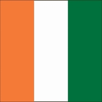 Drapeau de la Côte d'Ivoire imprimé sur mesure en tissu satiné tricoté, vente chaude, drapeau national de la République de Côte d'Ivoire