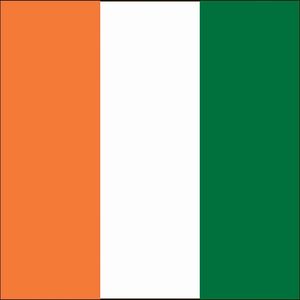 Атласная трикотажная ткань с принтом по индивидуальному заказу, флаг Берега Слоновой кости, горячая Распродажа, национальный флаг Республики Кот-д'ивуара - Product Image 3