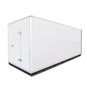 Customized mobile 20ft walk in cold storage freezer frozen food fish meat cold container room for sale