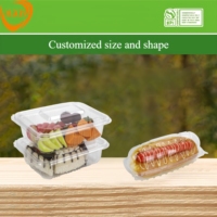 Wegwerp bioafbreekbare PLA plastic vierkante clamshell transparante fruitcake verpakking doos met aangepast logo voor supermarkt vers producten