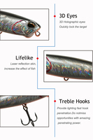 LUTAC LQ02A Crayon 110MM 21G Treble Hook Pêche en eau douce 3D Simulation des yeux Artificiel Plastique dur Faux appât