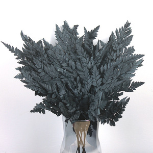 Foglie di <span class=keywords><strong>Felce</strong></span> Arachniodes Preservate, <span class=keywords><strong>Felce</strong></span> in Pelle Multicolore, Foglia Piatta Essiccata per Bouquet Floreali dalla Fabbrica dello Yunnan - Product Image 3