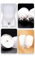 Ampoule LED personnalisée de luxe avec moules en plastique Décoration intérieure Lampe Globe Utilisation résidentielle disponible E26/E27/E14/B22 Prix d'usine