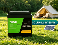 Baterai Solid State Loxeny 12.8V 60Ah LiFePO4 4S1P 768Wh dengan Smart BMS 6000+ Siklus 60A Beban Maksimum untuk Solar/RV/Off-Grid