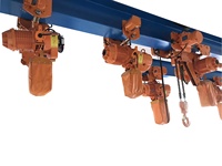 1T 2T 3T 5T 6T 8T 10T 16T Palan électrique à chaîne réglable portable à vitesse unique Palan électrique silencieux 220V 380V 440V
