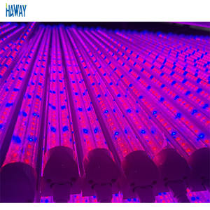 T8 lampu tumbuh tanaman dalam ruangan, cahaya penumbuh tanaman spektrum penuh baris ganda bentuk V terintegrasi untuk tanaman rumah kaca dalam ruangan - Product Image 1