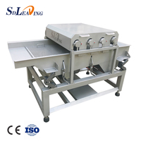 Industriële Automatische Vibrator Dust Remover Data Cleaning Fruit Verwerking Machine