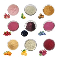Poudre juteuse de fruits de canneberge pure de haute qualité poudre de canneberge sèche boisson solide instantanée