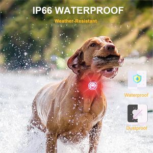 Lumière LED pour chien personnalisée avec logo imprimé, étanche IPX7, rechargeable, pour collier et harnais, lumière de sécurité LED pour chien pour la marche nocturne - Product Image 5
