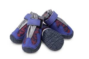 जेएमएल सॉफ्ट बॉटम चिंतनशील गैर-पर्ची खेल कुत्ते के जूते (बड़े, मध्यम और छोटे आकार) - Product Image 2