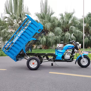 Tricycle à 3 roues 200cc avec amortisseur arrière vertical, occasion, pour l'Afrique - Vente chaude à l'exportation - Product Image 4
