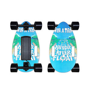 Skateboards complets en bois à double moteur avec logo personnalisé, mini skateboard, skateboard avec <span class=keywords><strong>prix</strong></span> avantageux pour adultes - Product Image 3