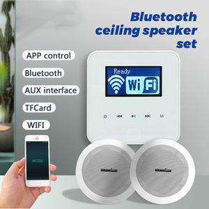 Système audio intelligent pour la maison PW230+CR525 Mini télécommande tactile à 2 canaux <span class=keywords><strong>Amplificateur</strong></span> mural 25W Ensemble de haut-parleurs de plafond pour Noël - Product Image 5