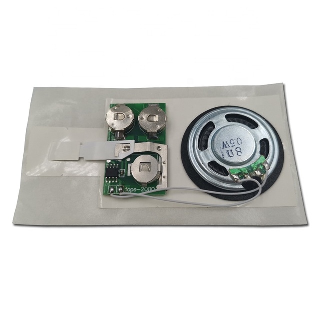 Factory Best Price Talking Music Recording Voice Sound Chip Module for Greeting Card