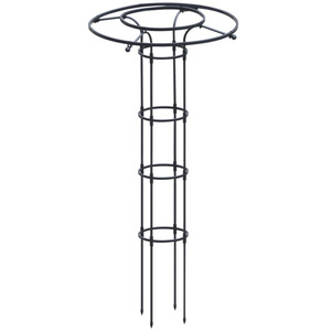 Traliccio in ferro per piante rampicanti e rose, supporto per piante da interno con design a testa di fungo - Product Image 5