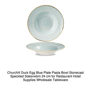 Bol à pâtes Churchill Duck Egg Blue Plate Stonecast Speckled Sdesvwbm 24 cm pour restaurants, hôtels, fournitures en gros, vaisselle - Product Image 2