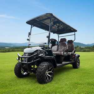 Supply Customized Color Golf Cart with <b>Box</b> for Commercial Use - Product Image 5