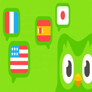 Cuenta Premium de Duolingo Pro por 1 Año, Global, Universal, Activa Tu Propia Cuenta - Product Image 2
