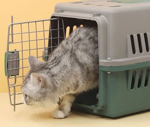 Cages pour animaux de compagnie les plus vendues en 2024, cages respirantes et portables pour chats, boîte de <span class=keywords><strong>transport</strong></span> approuvée par les compagnies aériennes, sac de <span class=keywords><strong>transport</strong></span> pour <span class=keywords><strong>chat</strong></span> pour les voyages - Product Image 5