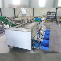 Sinaasappels Citroen Granaatappel Mango Sorteermachine Sorteermachine Aardappelroller Sorteermachine