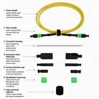 Kabel Patch Fiber Optik MPO Densitas Tinggi 2.0mm LSZH Kuning G657A1 G652D Low Loss Mpo Optical Patch Cord