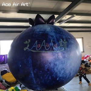 Globos Inflables Gigantes de Arándanos de 5 m, Modelos de Frutas Inflables para Publicidad de Apertura de Tiendas, Arándanos Inflables para Eventos - Product Image 2