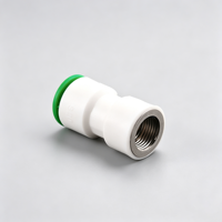 Raccord égal en PPR à emboîtement rapide, filetage mâle/femelle, matériaux de plomberie, résistant à la chaleur, anticorrosion, sans soudure, connexion rapide, plastique, eau