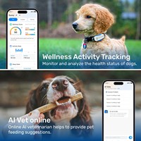 Rastreador GPS 4G para Perros y Gatos, Ubicación en Tiempo Real 24/7, Alertas de Geocerca con IA Veterinaria, Monitor de Actividad, Resistente al Agua IP67, Plástico, Batería de Larga Duración