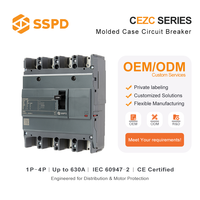 Disjoncteur AC CEZC 250 4P 300 Ampères à boîtier moulé 220V 380V MCCB 4P 250A pour concessionnaires et entreprises de commerce, OEM ODM disponible