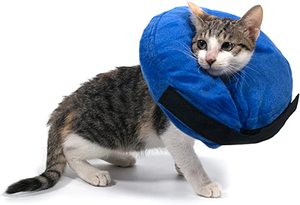 ราคาโรงงานพองนุ่มสบายทางเลือกสัตว์เลี้ยงกู้คืนปลอกคอสำหรับสุนัขและแมว - Product Image 3