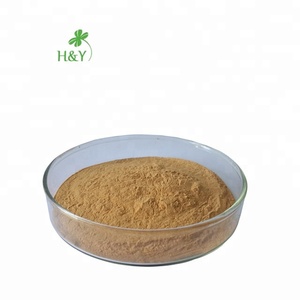 Oleuropein hidroksityrosol 32619-42-4 oleuropein 40% ekstrak cair daun zaitun 40 oleuropein kapsul ekstrak daun zaitun - Product Image 1