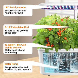 IGS-25 sistema idroponico elettronico intelligente per interni ciclo automatico erbe giardino di avviamento casa piantatore terreno di coltivazione - Product Image 6