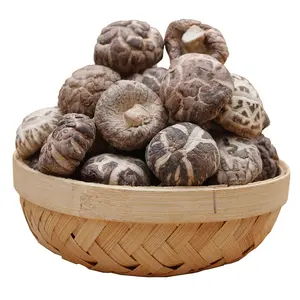 Factory Price Dried Shiitake Mushrooms High Quality Dried Mushrooms