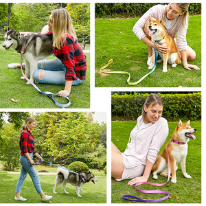 Pet Dog Collar Leash Set Nylon Adjustable Durable Soft For Small Medium Large Breeds Gradient Solid Colors - Product Image 1