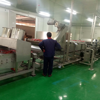 100tpd-1500tpd Tomatenpuree Ketchup Saus Pasta Concentraat Productie Verpakkingsverwerkingsmachines Lijn Groenten Automatische Voedselverwerking