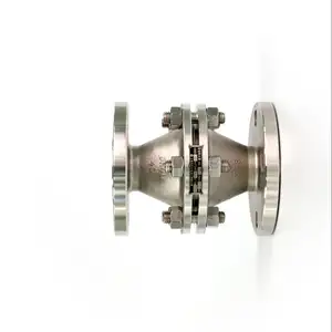 Natural gas flame arrestor flame arrester DGZ-40