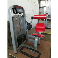 Machine ASJ-A009 du bas du dos Muscles abdominaux Stretch Workout Gym Equipment Back Extension Machine