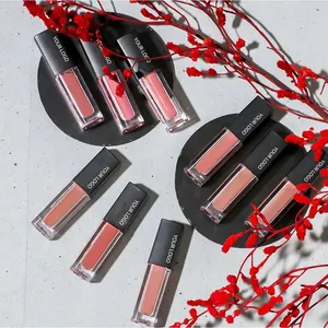 Marque privée Vegan Nude Liquide Rouge À Lèvres Ensemble En Gros Étanche Antiadhésif Naturel Brillant Brillant Paillettes Rouge À Lèvres Mat Ensemble