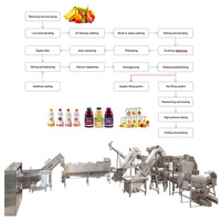 Complete automatische productielijn voor mango- en watermeloenfruitsap, inclusief natuurlijke apparatuur, in China.