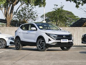 Modèle 2025, Version Modifiée SUV Essence, Approvisionnement Direct Usine, <span class=keywords><strong>Prix</strong></span> Compétitif - Product Image 4