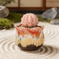 Soldes Exceptionnelles : Jardinières en Céramique Exquises pour Plantes Succulentes – Trou de Drainage, Bordures Délicates en Dentelle, Conception Respirante, Écologiques, Style Vintage