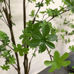 Árbol Artificial <span class=keywords><strong>de</strong></span> Enkianthus Perulatus, Flor <span class=keywords><strong>de</strong></span> <span class=keywords><strong>Nieve</strong></span> Japonesa Artificial con Follaje Verde Denso para Decoración <span class=keywords><strong>de</strong></span> Interiores, Hogar y Oficina, Varios Tamaños - Product Image 6