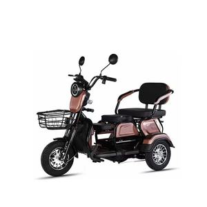 Vélo électrique Cargo à trois roues de haute qualité Scooter pour handicapés <span class=keywords><strong>Triporteur</strong></span> Tricycl vélo tricycles électriques avec batterie - Product Image 2